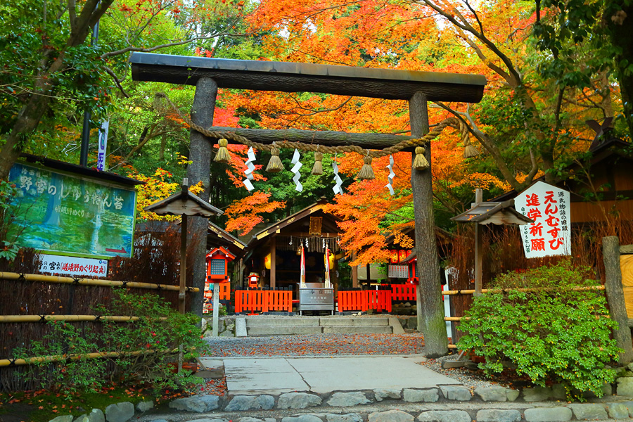 2023年度京阪旅遊行程(11/29第三天) 2023年度京阪旅遊行程(11/29第三天)